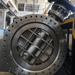 超級(jí)奧氏體蝶閥